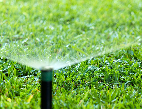 water smart irrigation